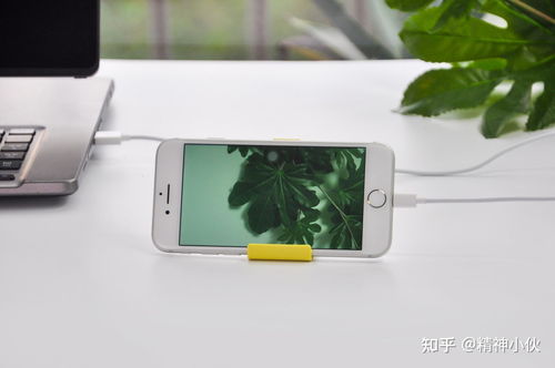 2021年蘋果產(chǎn)品選購指南 iPhone、iPad、iWatch、AirPods全方位解析及軟件設(shè)計(jì)開發(fā)推薦