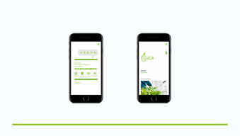 威海農(nóng)業(yè)品牌形象塑造 從Logo設(shè)計到移動應(yīng)用開發(fā)的全方位升級